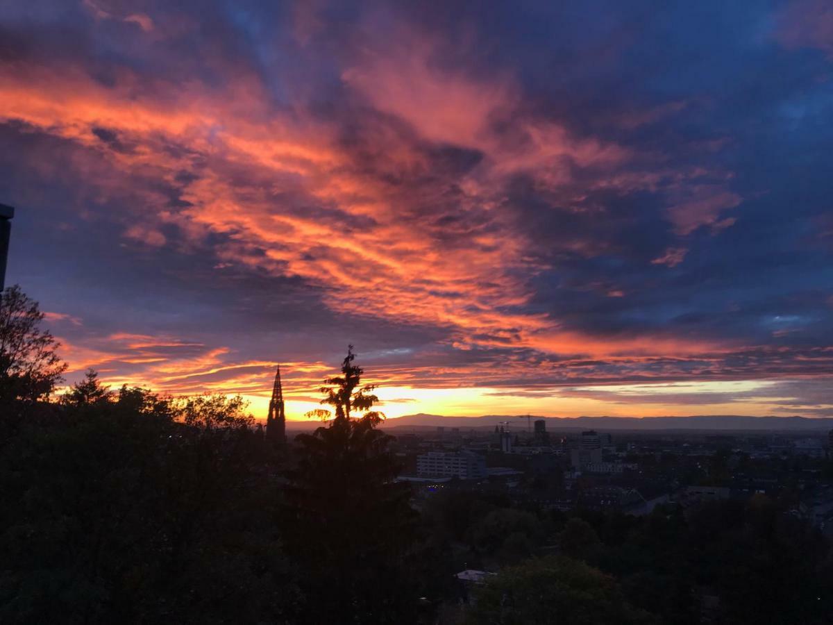 Ferienwohnung-Freiburg-Exklusiv Kültér fotó